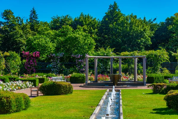 Сад Троянд Готеборзі Швеція — стокове фото