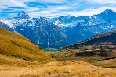 İsviçre 'deki Grindelwald köyünün üzerindeki Alpler Panoraması.