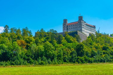 Alman kenti Eichstatt 'taki Willibaldsburg kalesi.