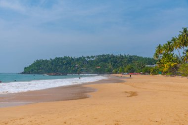 Sri Lanka 'da güneşli bir günde Mirissa plajı.