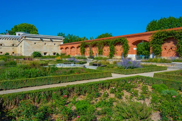 stock image Rose garden in German town Ingolstadt.