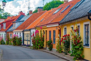 İsveç 'in Ystad kasabasında geleneksel renkli cadde.