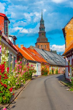 İsveç 'in Ystad kasabasında geleneksel renkli cadde.