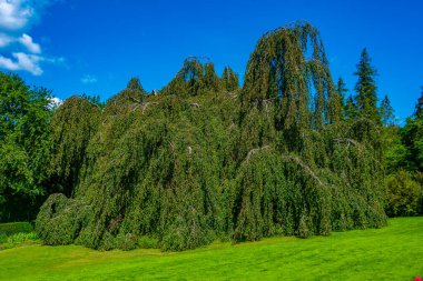 İsveç 'teki Solliden Sarayı' ndaki bahçeler.