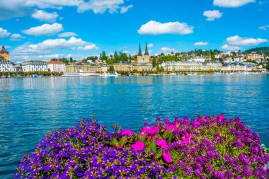 Lucerne Gölü 'nün rıhtımı, Luzern' de bir kilise, İsviçre 'de bir saksının arkasında..