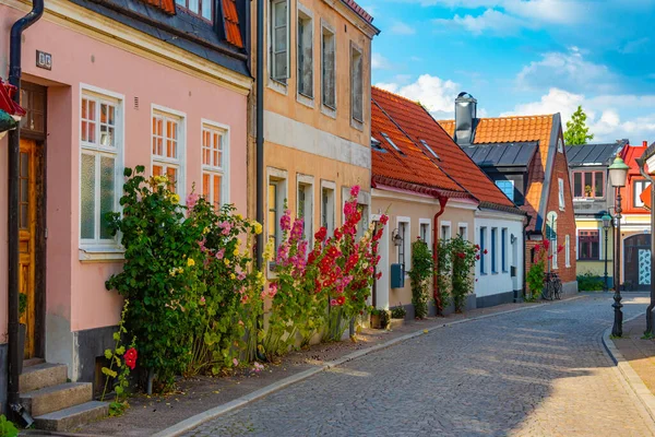 Traditional Colorful Street Swedish Town Ystad — Stock Photo, Image