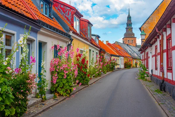 Calle Colorida Tradicional Ciudad Sueca Ystad — Foto de Stock