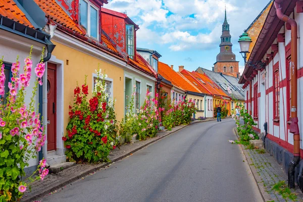 Traditionelle Bunte Straße Der Schwedischen Stadt Ystad — Stockfoto