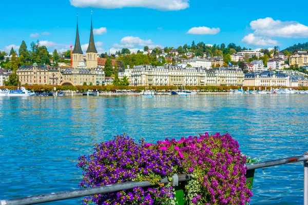 Набережная Озера Люцерн Церковью Люцерне Цветочным Горшком Швейцария — стоковое фото