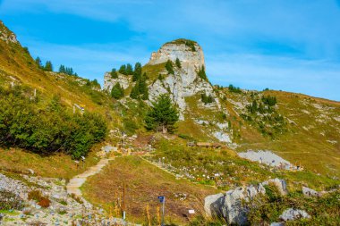 İsviçre 'deki Schynige Platte Alpengarten' de..