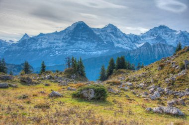 İsviçre 'deki Schynige Platte' den Bernese Alpleri 'nin Panorama manzarası.