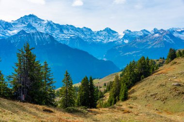 İsviçre 'deki Schynige Platte' den Bernese Alpleri 'nin Panorama manzarası.