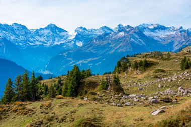 İsviçre 'deki Schynige Platte' den Bernese Alpleri 'nin Panorama manzarası.