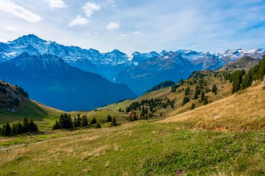 İsviçre 'deki Schynige Platte Panorama Manzarası.