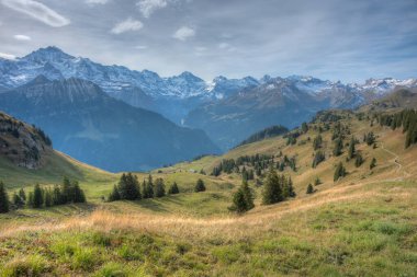İsviçre 'deki Schynige Platte Panorama Manzarası.