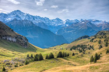 İsviçre 'deki Schynige Platte' den Bernese Alpleri 'nin Panorama manzarası.