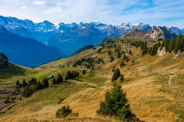 İsviçre 'deki Schynige Platte Panorama Manzarası.