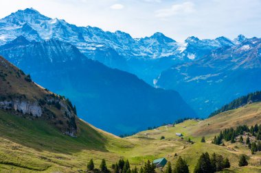 İsviçre 'deki Schynige Platte' den Bernese Alpleri 'nin Panorama manzarası.