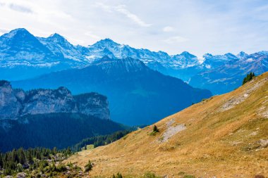 İsviçre 'deki Schynige Platte' den Bernese Alpleri 'nin Panorama manzarası.