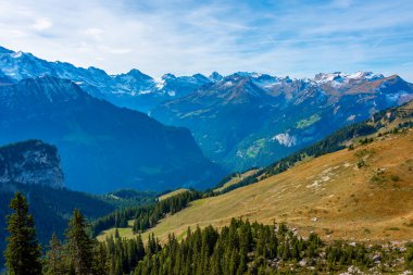 İsviçre 'deki Schynige Platte' den Bernese Alpleri 'nin Panorama manzarası.