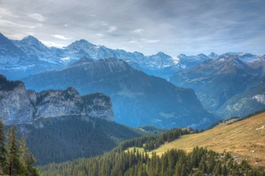 İsviçre 'deki Schynige Platte' den Bernese Alpleri 'nin Panorama manzarası.