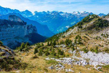 İsviçre 'deki Schynige Platte' den Bernese Alpleri 'nin Panorama manzarası.