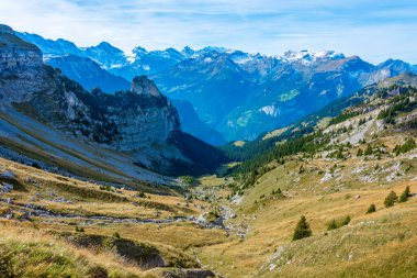 İsviçre 'deki Schynige Platte' den Bernese Alpleri 'nin Panorama manzarası.