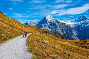 İsviçre 'deki Grindelwald köyünün üzerindeki Alpler Panoraması.