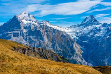 İsviçre 'deki Grindelwald köyünün üzerindeki Alpler Panoraması.