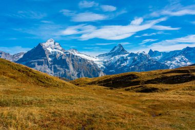 İsviçre 'deki Grindelwald köyünün üzerindeki Alpler Panoraması.