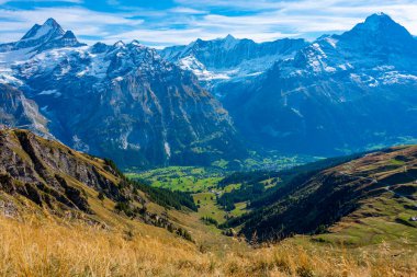 İsviçre 'deki Grindelwald köyünün üzerindeki Alpler Panoraması.