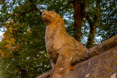 Galler 'in başkenti Cardiff, İngiltere' deki Bute Park 'ın hayvan duvarı..