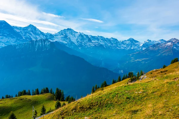 Панорама Бернські Альпи Платте Шініге Швейцарія — стокове фото