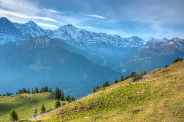 stock image Panorama view of Bernese Alps from Schynige Platte in Switzerland.