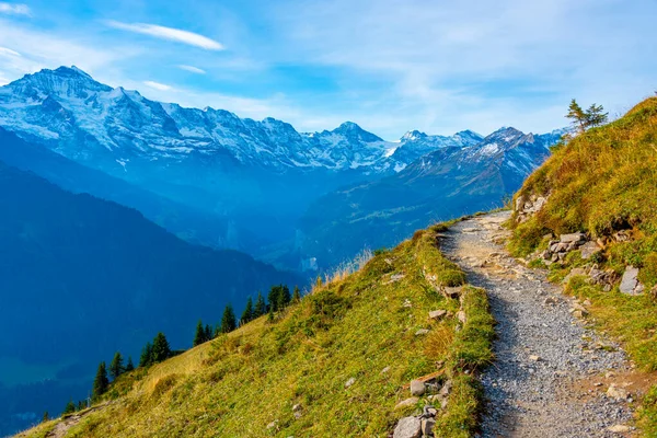 stock image Panorama view of Bernese Alps from Schynige Platte in Switzerland.