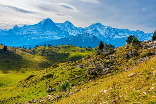 stock image Panorama view of Schynige Platte in Switzerland.