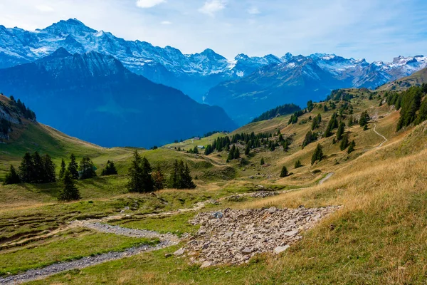 Blick Auf Die Schynige Platte Der Schweiz — Stockfoto