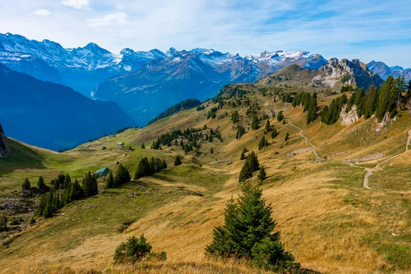 Blick Auf Die Schynige Platte Der Schweiz — Stockfoto