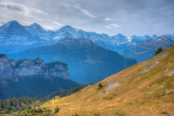 Blick Auf Die Berner Alpen Von Der Schynige Platte Der — Stockfoto