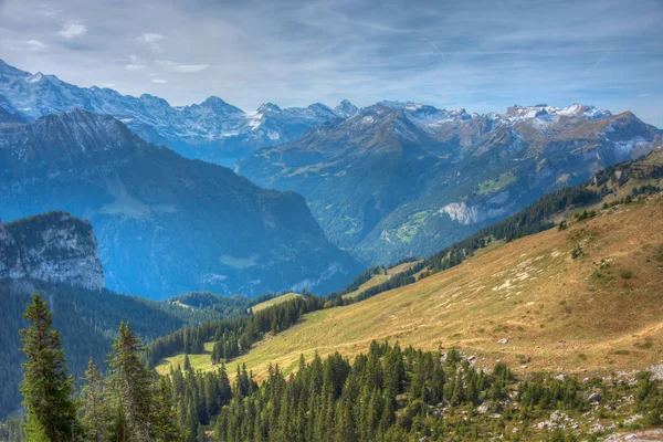 Панорама Бернські Альпи Платте Шініге Швейцарія — стокове фото