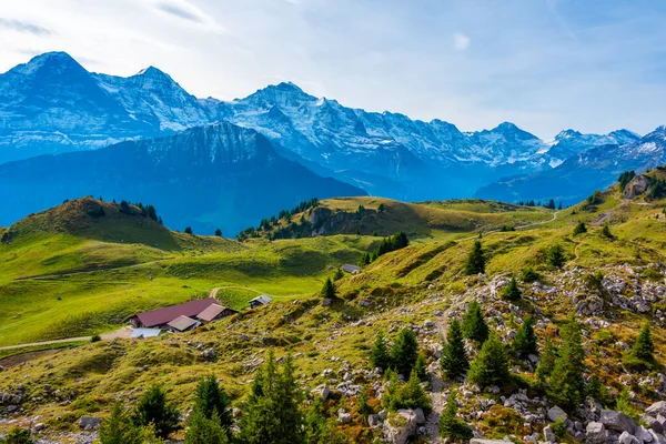 Panorama Van Schynige Platte Zwitserland — Stockfoto