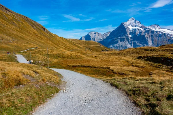İsviçre 'deki Grindelwald köyünün üzerindeki Alpler Panoraması.