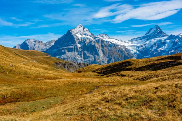 İsviçre 'deki Grindelwald köyünün üzerindeki Alpler Panoraması.