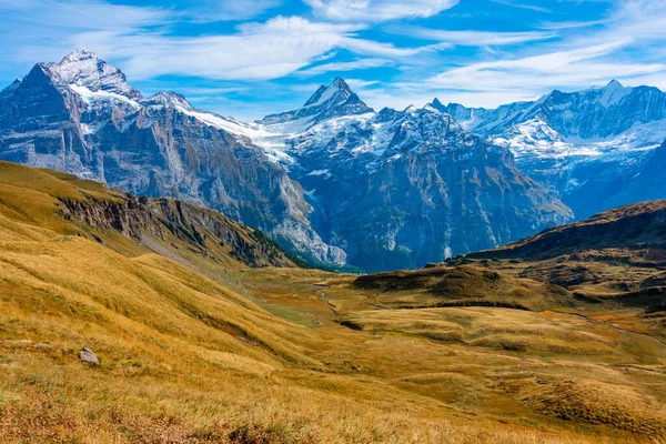 Panorama Alps Grindelwald Village Switzerland — Stock Photo, Image