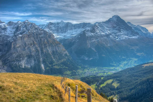 Panorama Dos Alpes Sobre Aldeia Grindelwald Suíça — Fotografia de Stock