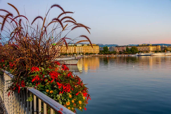 Lakeside Promenáda Švýcarského Města Ženeva Pohled Květináč Švýcarsko — Stock fotografie