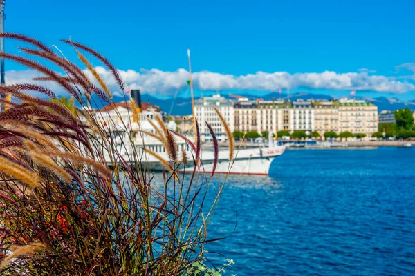Lakeside Promenade Swiss City Geneva Viewed Flower Pot Switzerland — Stock Photo, Image