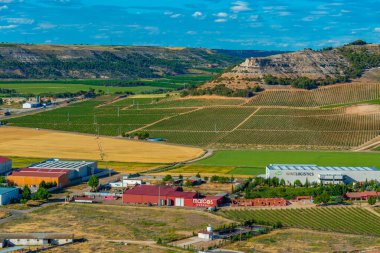 Penafiel, İspanya, 6 Haziran 2022 İspanyol şehri Penafiel 'i çevreleyen üzüm bağları