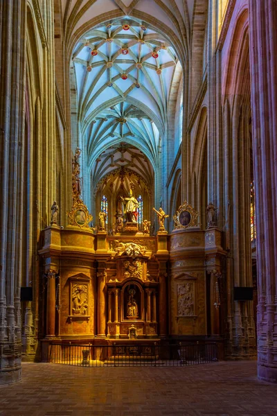 Astorga Spain June 2022 Interior Cathedral Mary Astorga Spain — стоковое фото