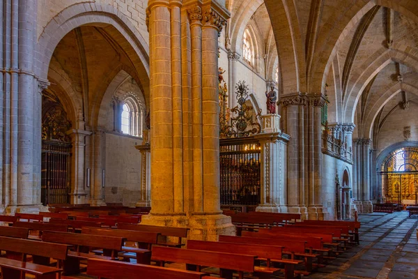 Ciudad Rodrigo Spanien Juni 2022 Interiören Katedralen Ciudad Rodrigo Spanien — Stockfoto